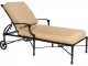 Delphi Cast Aluminum Outdoor Chaise Lounge