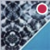 Shibori Blue
